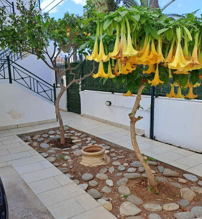 Dimitris Place Near Athens Airport Koropíon Eksteriør billede