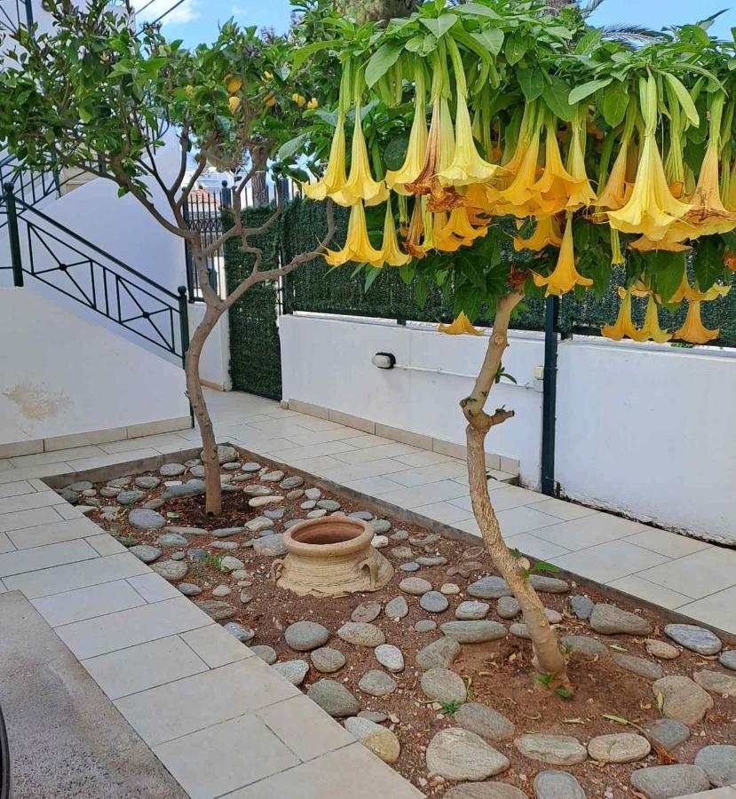 Dimitris Place Near Athens Airport Koropíon Eksteriør billede