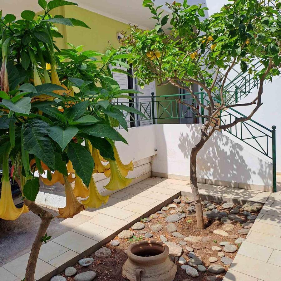 Dimitris Place Near Athens Airport Koropíon Eksteriør billede
